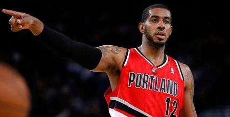 鸟的能力 鸟的能力