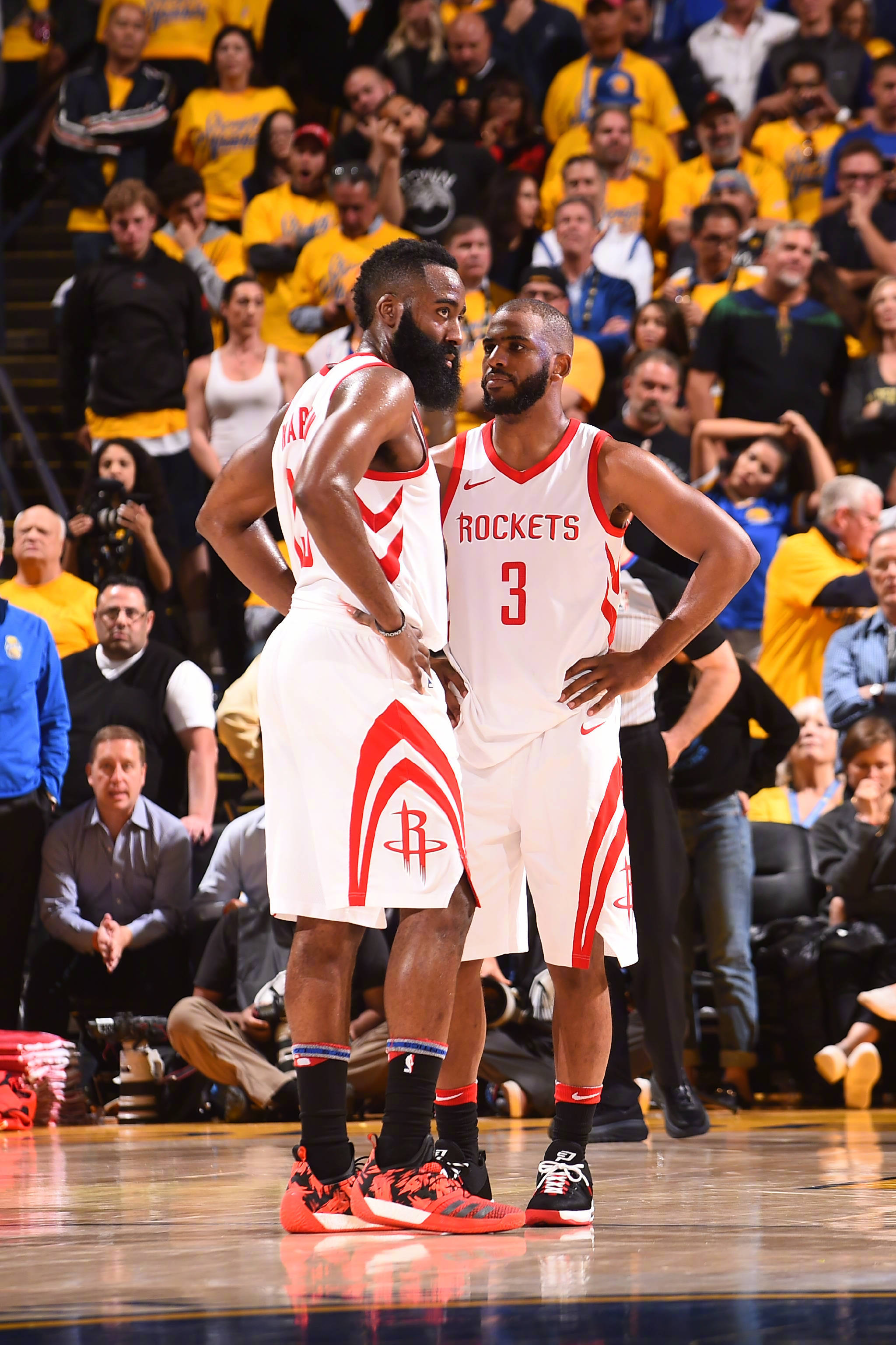 新鲜的血液 新鲜的血液