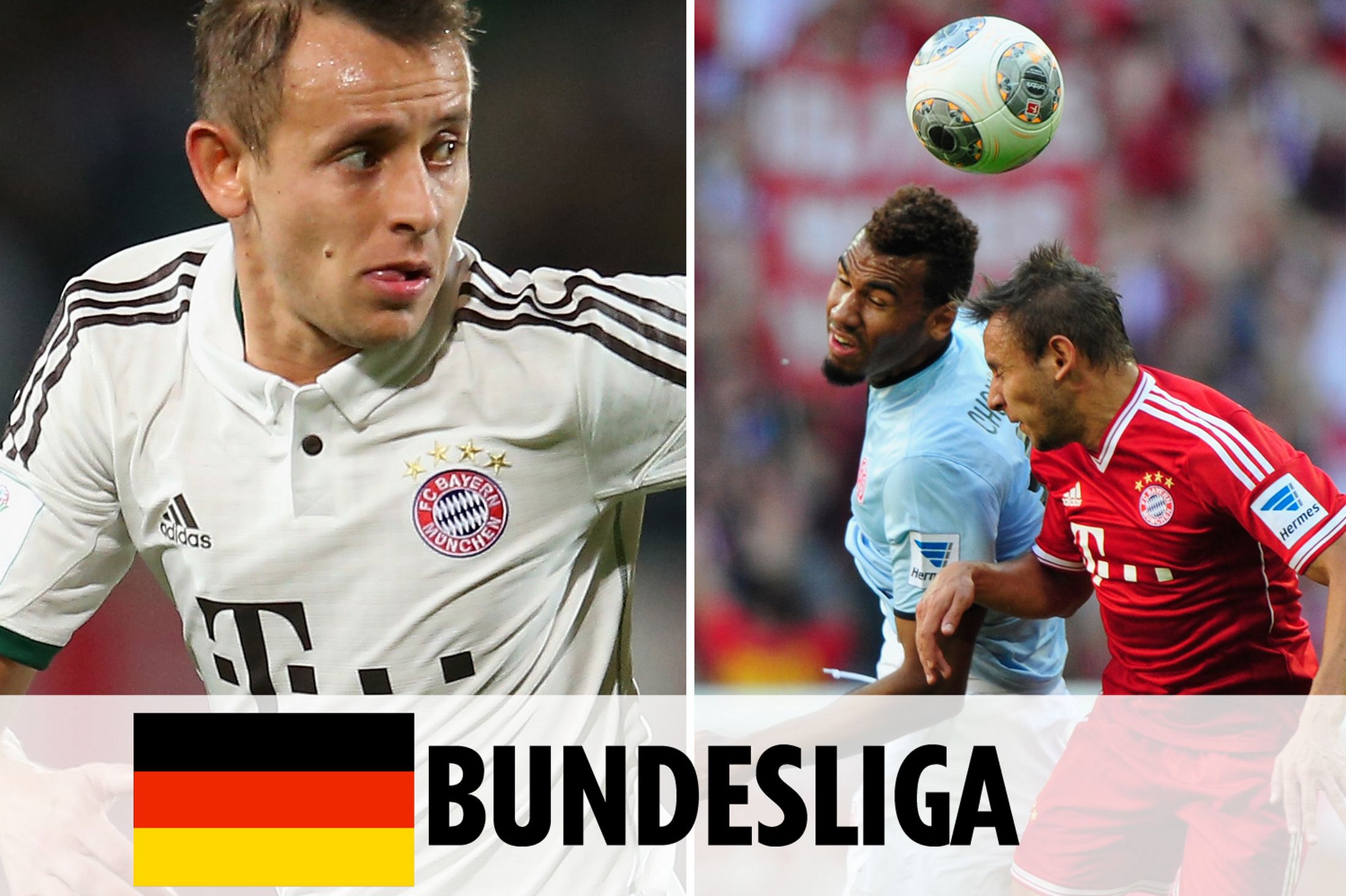 这种团队文 这种团队文