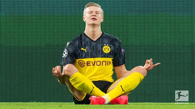 哈登特雷杨 哈登特雷杨