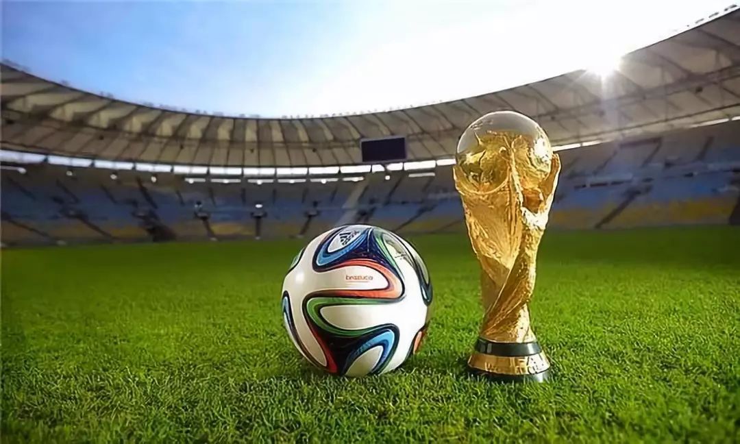 具侵略性与 具侵略性与